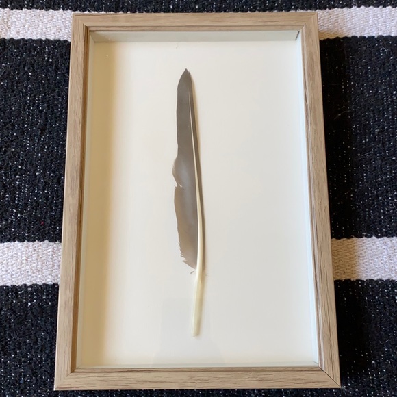 Other - Feather Wall Art